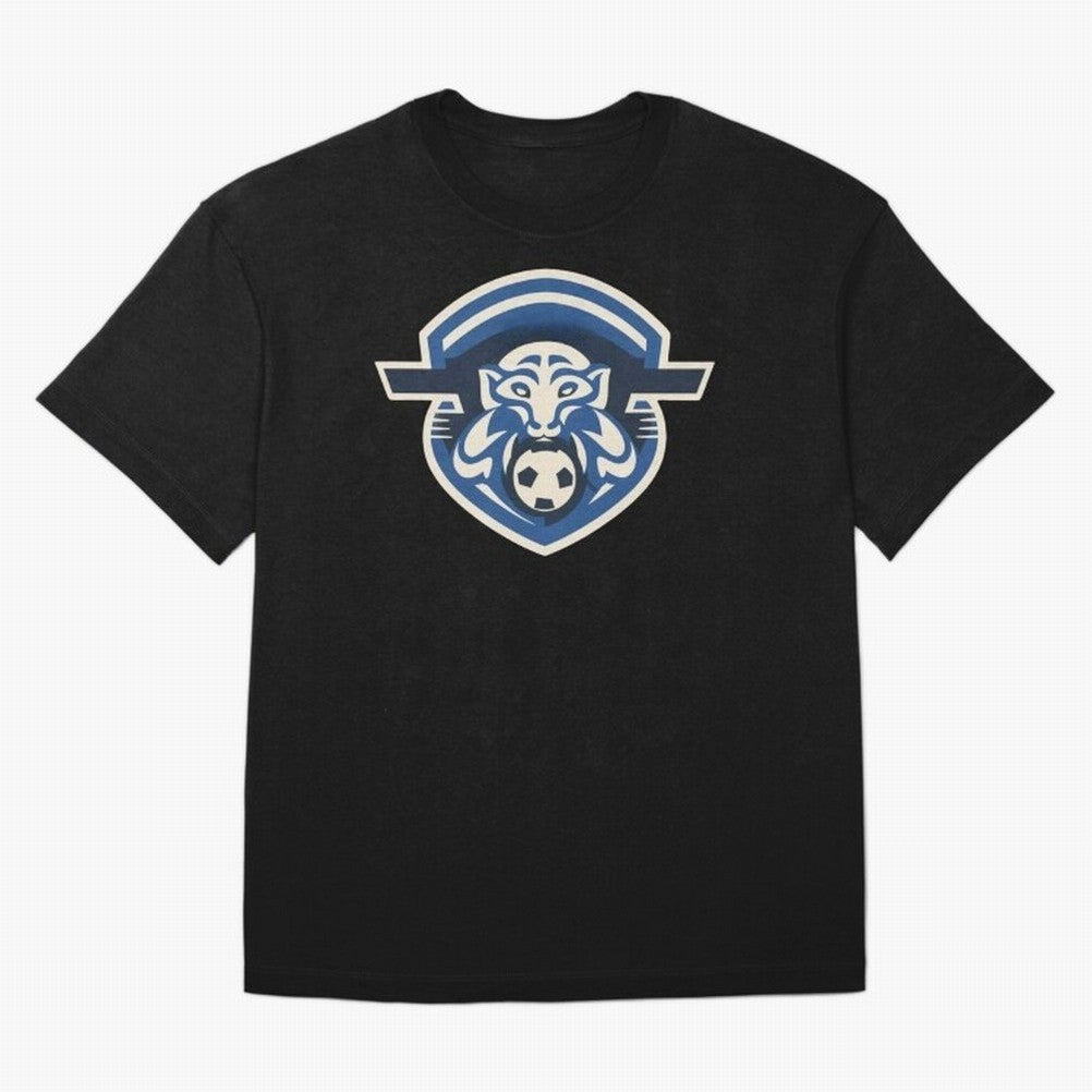 From the Streets to the World Stage Classic T-Shirt Celebrate National Team Dreams in FIFA World Cup 2026 USA Canada Mexico Featuring Haaland and Mbappe, Argentina and Brazil Energy, Game Day Rituals, Football Legends, Country Pride and the Road to